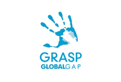 GRASP assessment